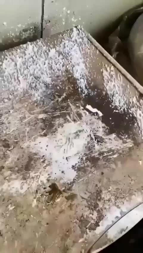 چربی زدانانوسان انتخاب مطمئن برای تمیزی درهمه جا|مواد شوینده و دستمال کاغذی|شیراز, طلاب|دیوار