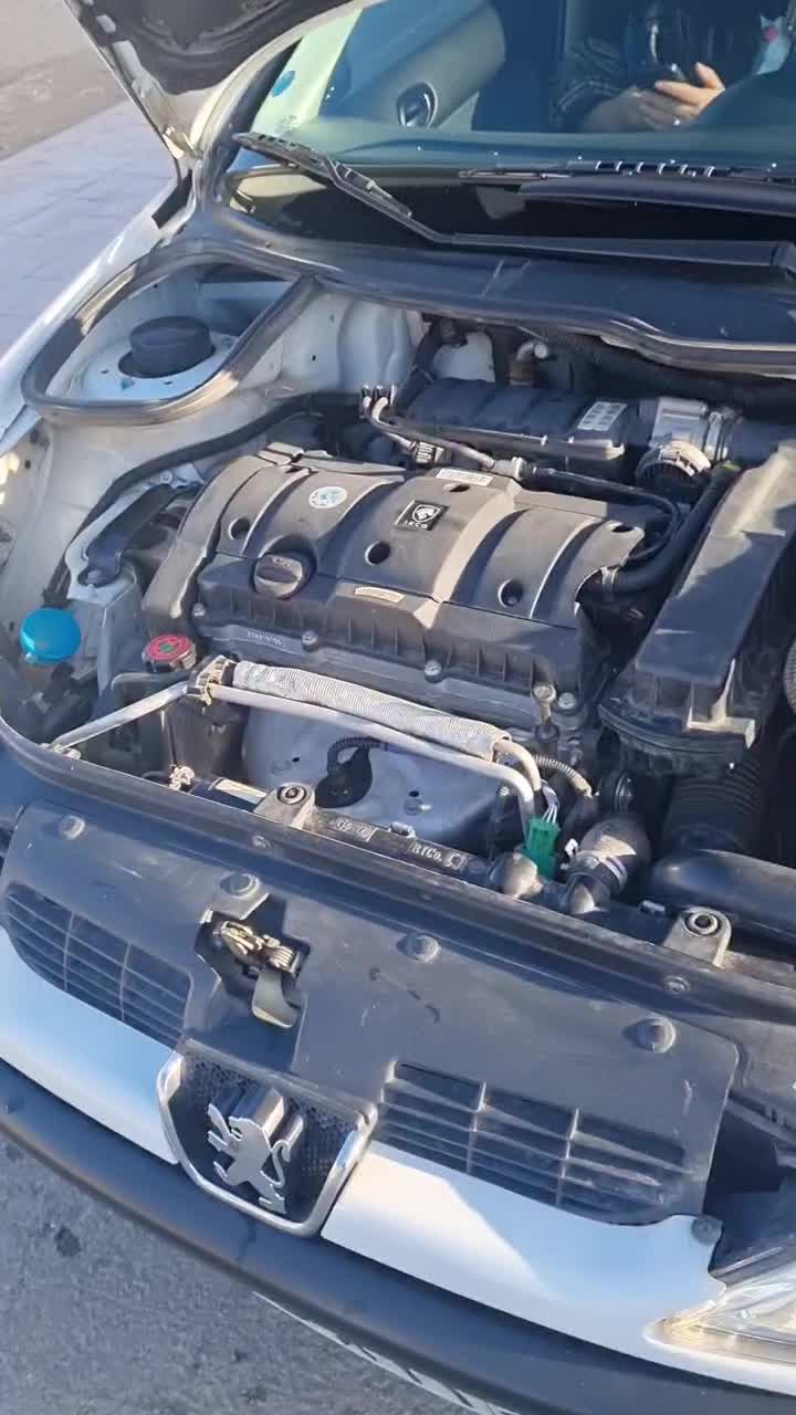 پژو 206tu5 sd  v8 مدل ۹۹|خودرو سواری و وانت|اصفهان, برازنده|دیوار