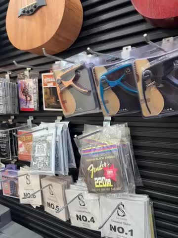 گالری موسیقی خانه گیتار|گیتار، بیس، امپلیفایر|یزد, |دیوار