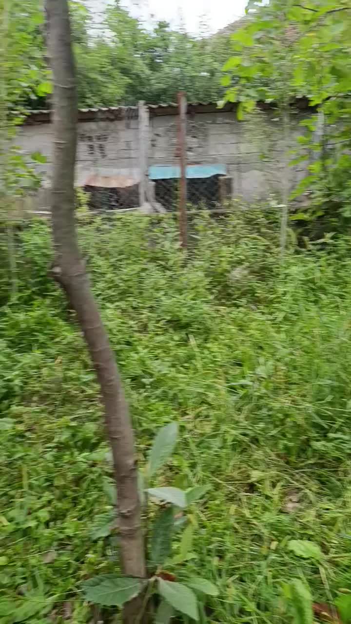 زمین مسکونی ویلایی|فروش زمین و ملک کلنگی|اردبیل, |دیوار