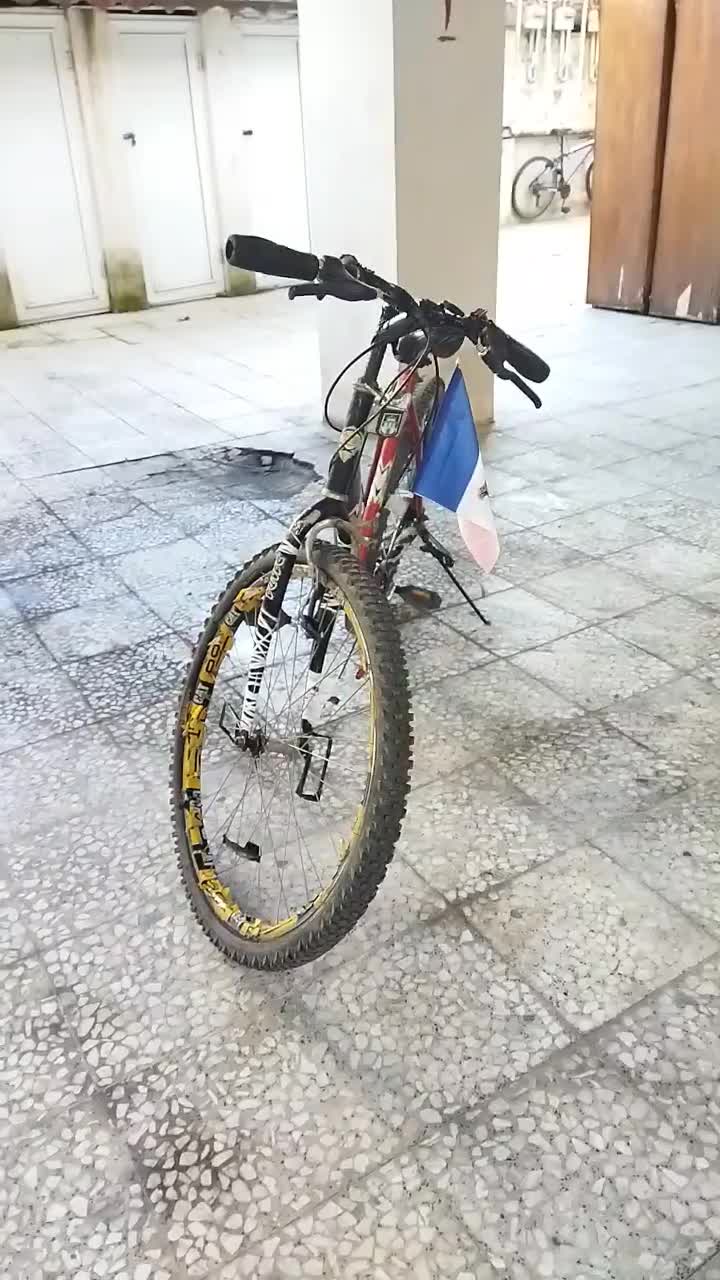 دوچرخه|دوچرخه، اسکیت، اسکوتر|آستارا, |دیوار