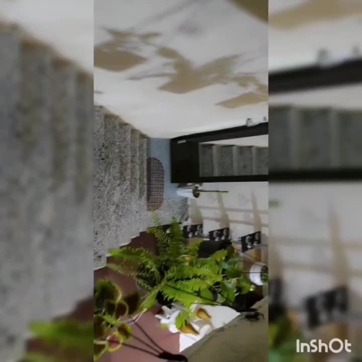 اجاره زیرزمین|اجارهٔ آپارتمان|یاسوج, |دیوار