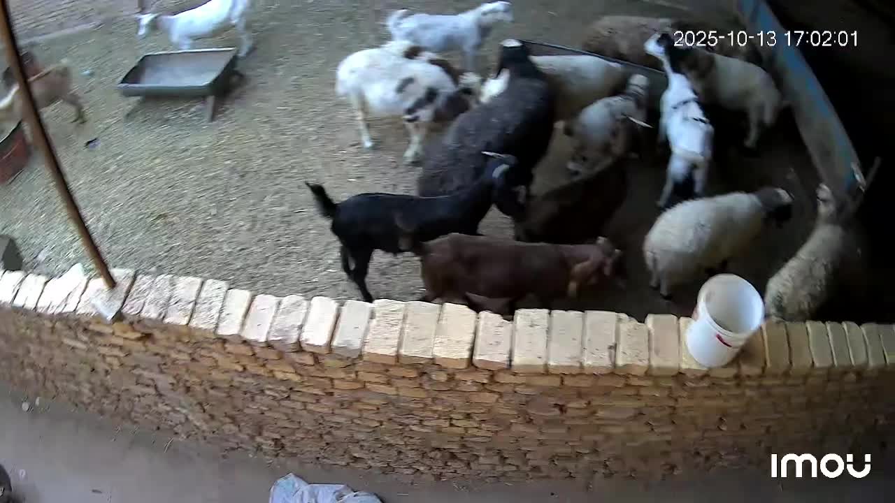 فروش و نصب انواع دوربین های مداربسته بیسیم|دوربین مداربسته|اردکان, |دیوار