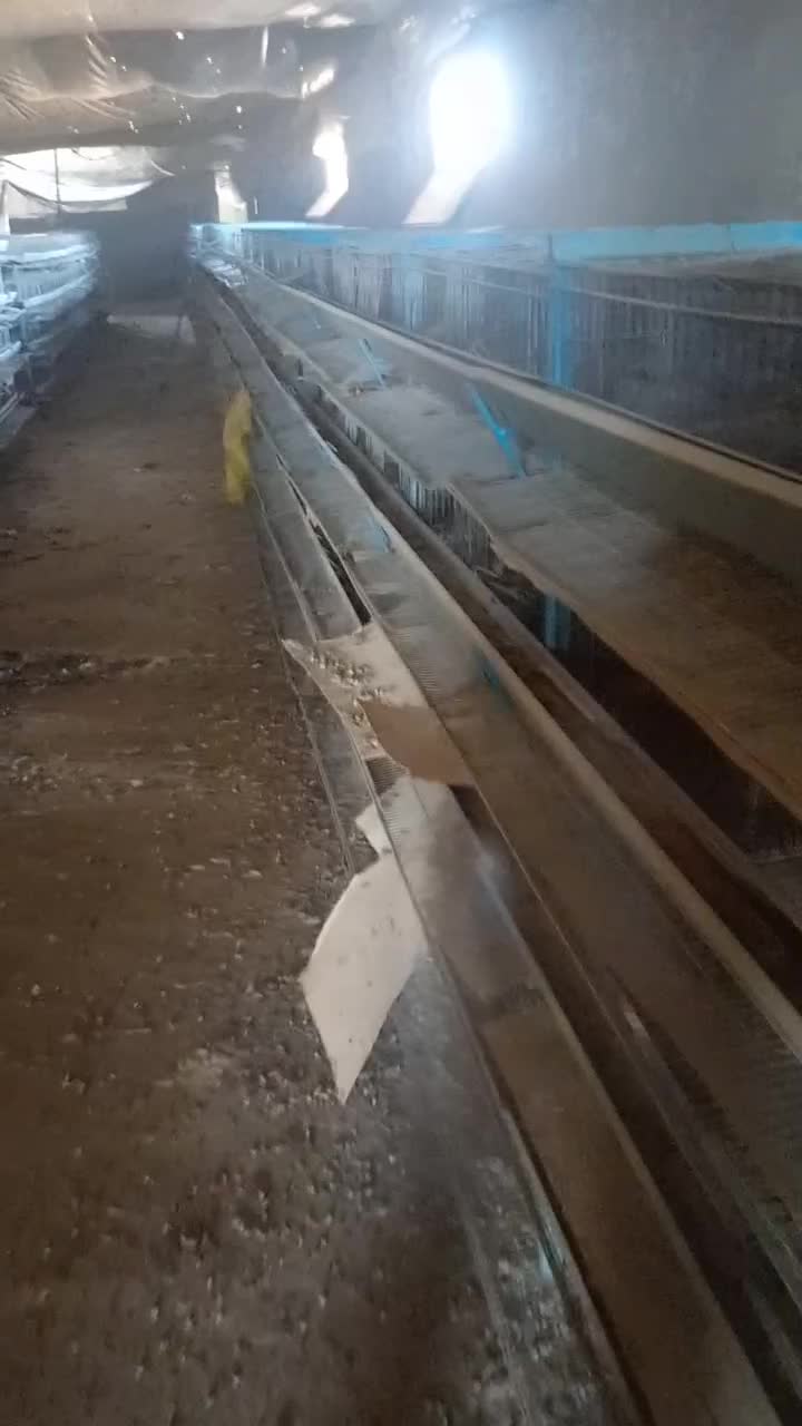 قفسه بلدرچین|لوازم جانبی حیوانات|بوئین زهرا, |دیوار