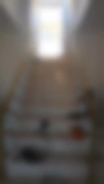 مرکز فوق تخصصی نرده استیل(نقد و اقساط)|خدمات پیشه و مهارت|ایلام, |دیوار