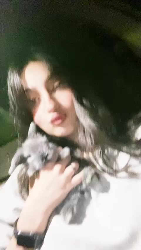 خرگوش لوپ فرانسوی|موش و خرگوش|یزد, |دیوار