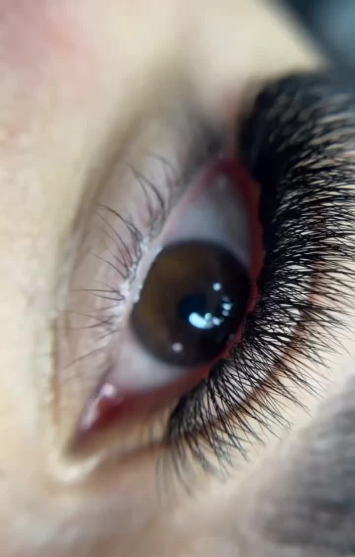 کاشت|خدمات آموزشی|نورآباد ممسنی, |دیوار