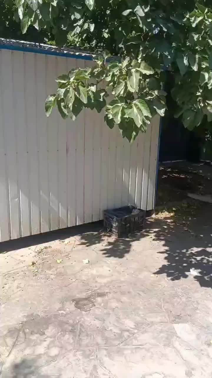 کانکس ۱۸ متری|مصالح و تجهیزات ساختمان|شاندیز, |دیوار