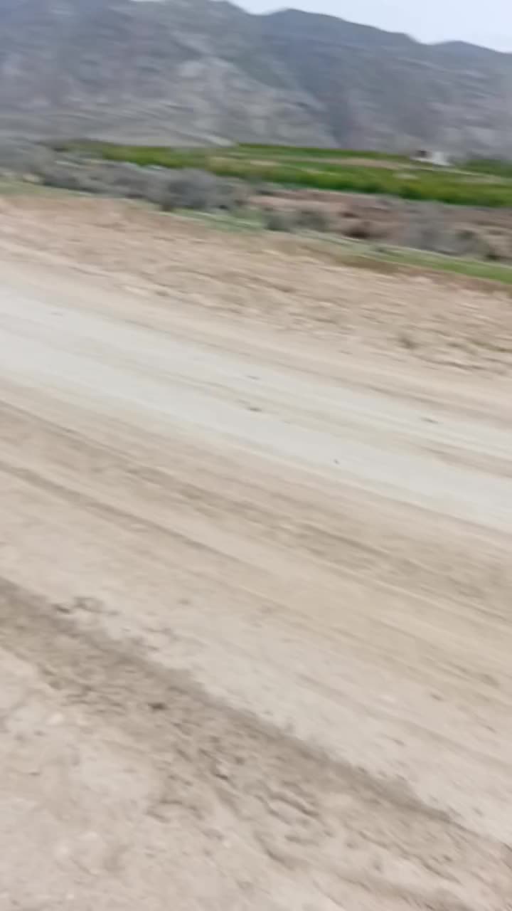 اسب|اسب و تجهیزات اسبسواری|سیمکان, |دیوار