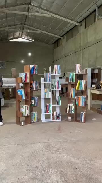 بوفه و کتابخانه مدل کاکتوس ۱ قهوه ای|کتابخانه، شلف، قفسههای دیواری|تبریز, |دیوار