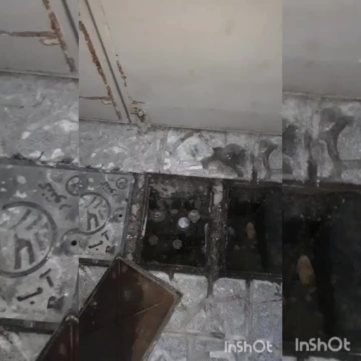 لوله بازکنی فنرزنی گلبهار تشخیص ترکیدگی رفع نم وبو|خدمات پیشه و مهارت|گلبهار, |دیوار