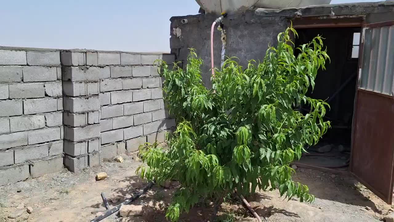فروش باغ دور دیوار در قشلاق (مقابل تپه سلام )|فروش خانه و ویلا|مشهد, ایوان|دیوار