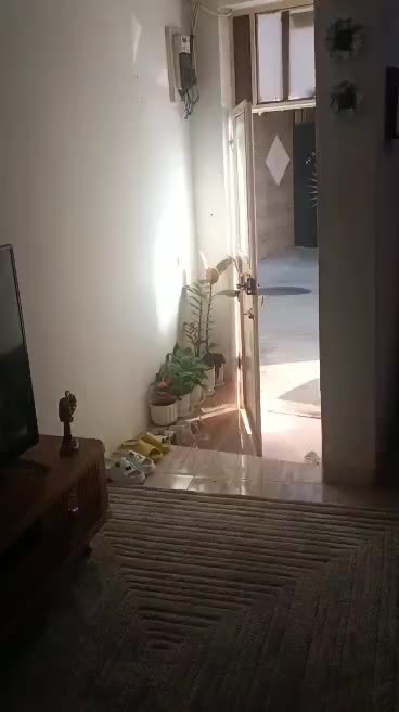 فروش ملک|فروش خانه و ویلا|رشت, سیا اسطلخ|دیوار