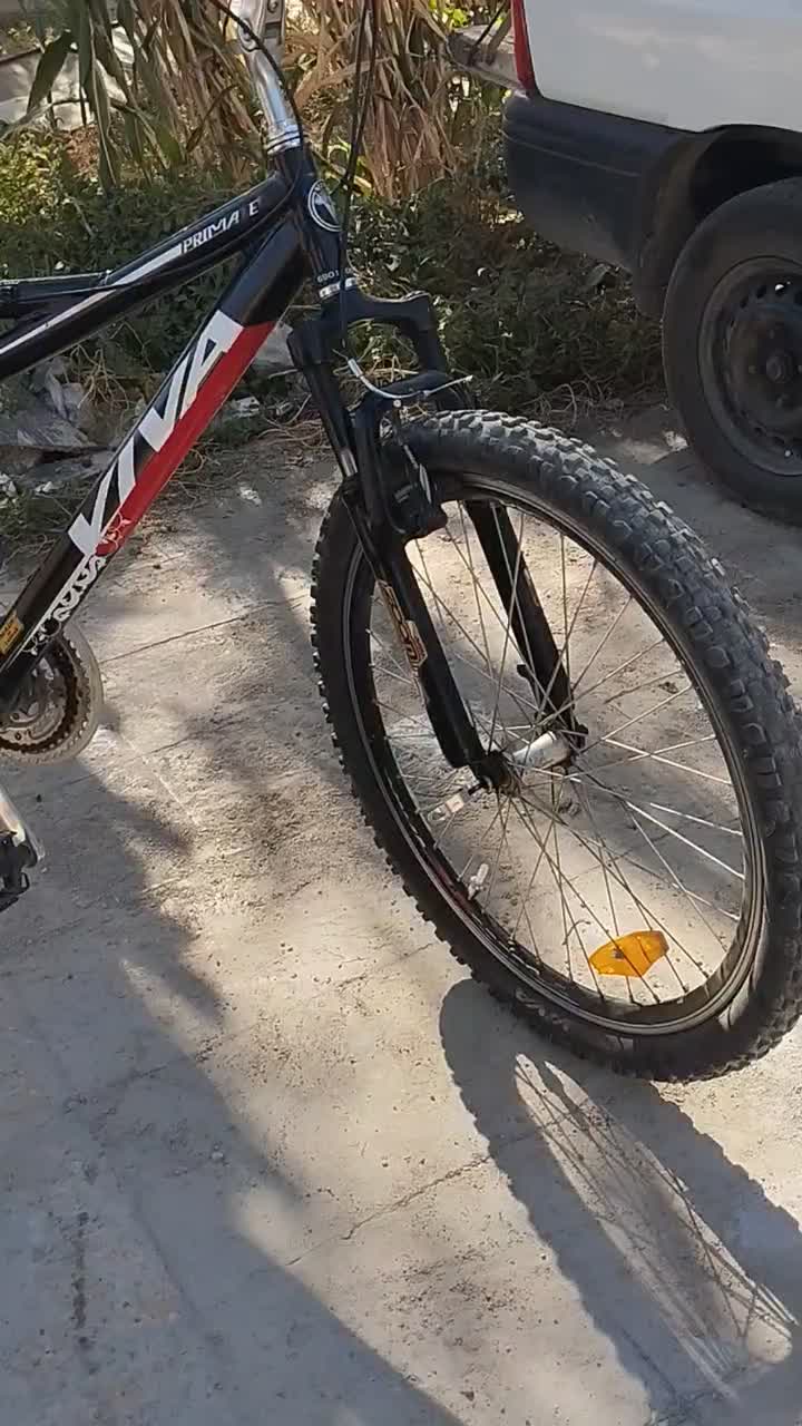 دوچرخه هفت دنده دونفره برندویوا|دوچرخه، اسکیت، اسکوتر|بهبهان, |دیوار