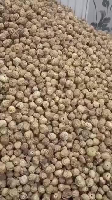 انجیر استهبان|خوردنی و آشامیدنی|شیراز, فضل‌آباد|دیوار