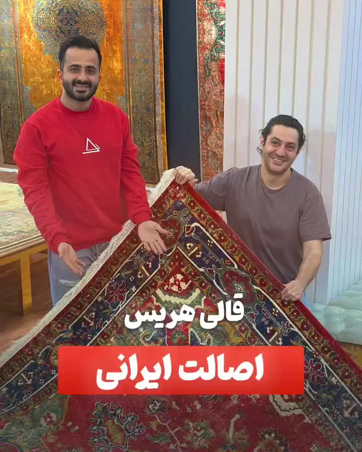 قالی هوفر صادراتی|فرش|تهران, هروی|دیوار