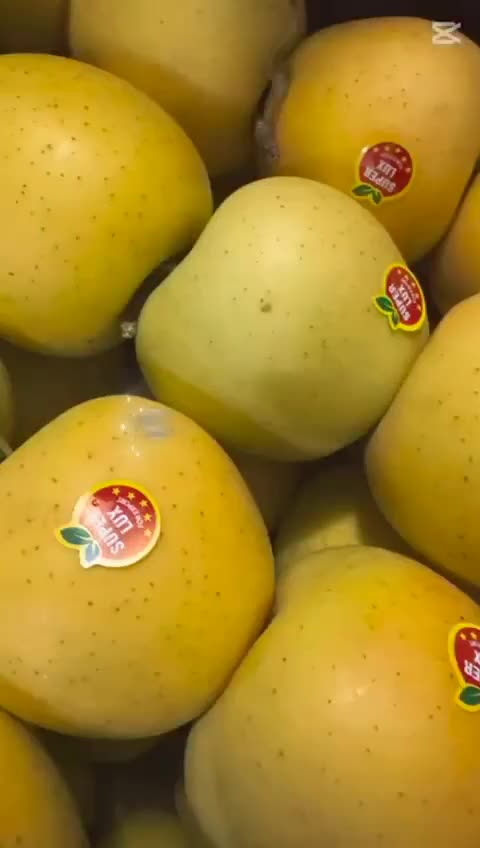 تشریفات ازدواج آسان الماس|خدمات پذیرایی، مراسم|اهواز, بعثت|دیوار