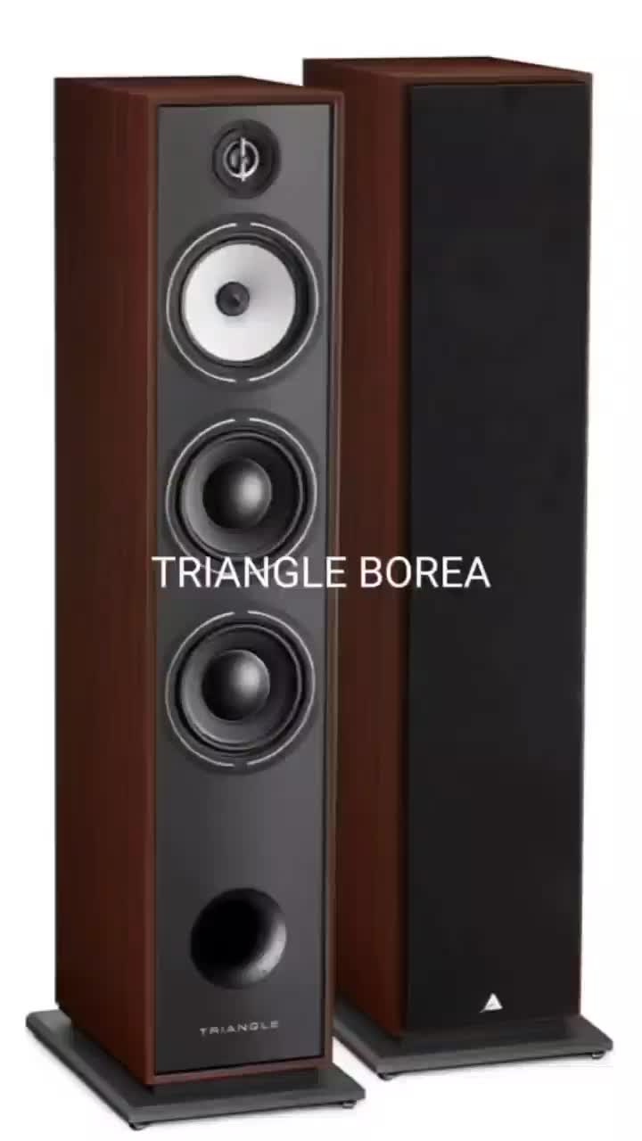 بلندگوی رده بالای تری انگلTRIANGLE Borea BR08|سیستم صوتی خانگی|تهران, کاشانک|دیوار