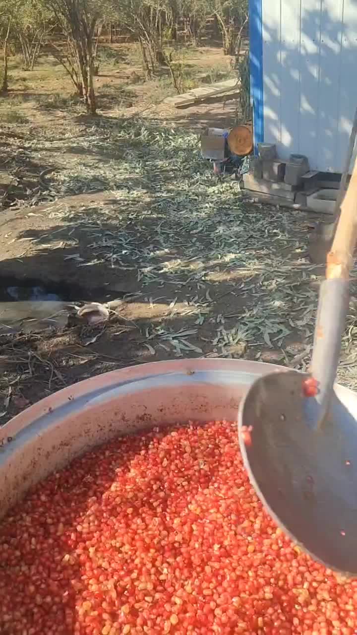 رب انار|خوردنی و آشامیدنی|قم, پردیسان|دیوار