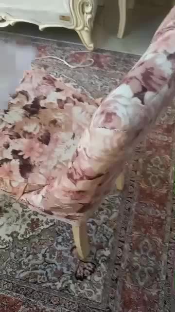 مبلشویی وقالیشویی تابان درمنزل|خدمات نظافت|رشت, معلم|دیوار