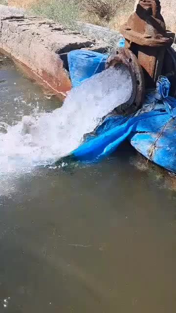 اجاره هفتاد هکتار زمین کشاورزی با آب و پمپ برقی|اجارهٔ دفتر صنعتی، کشاورزی، تجاری|رودبار (کرمان), |دیوار