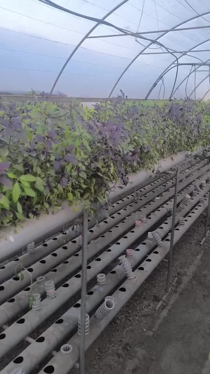 تجهیزات کشت هیدروپونیک و بستر کشت|خدمات باغبانی و درختکاری|مشهد, سازمان آب|دیوار