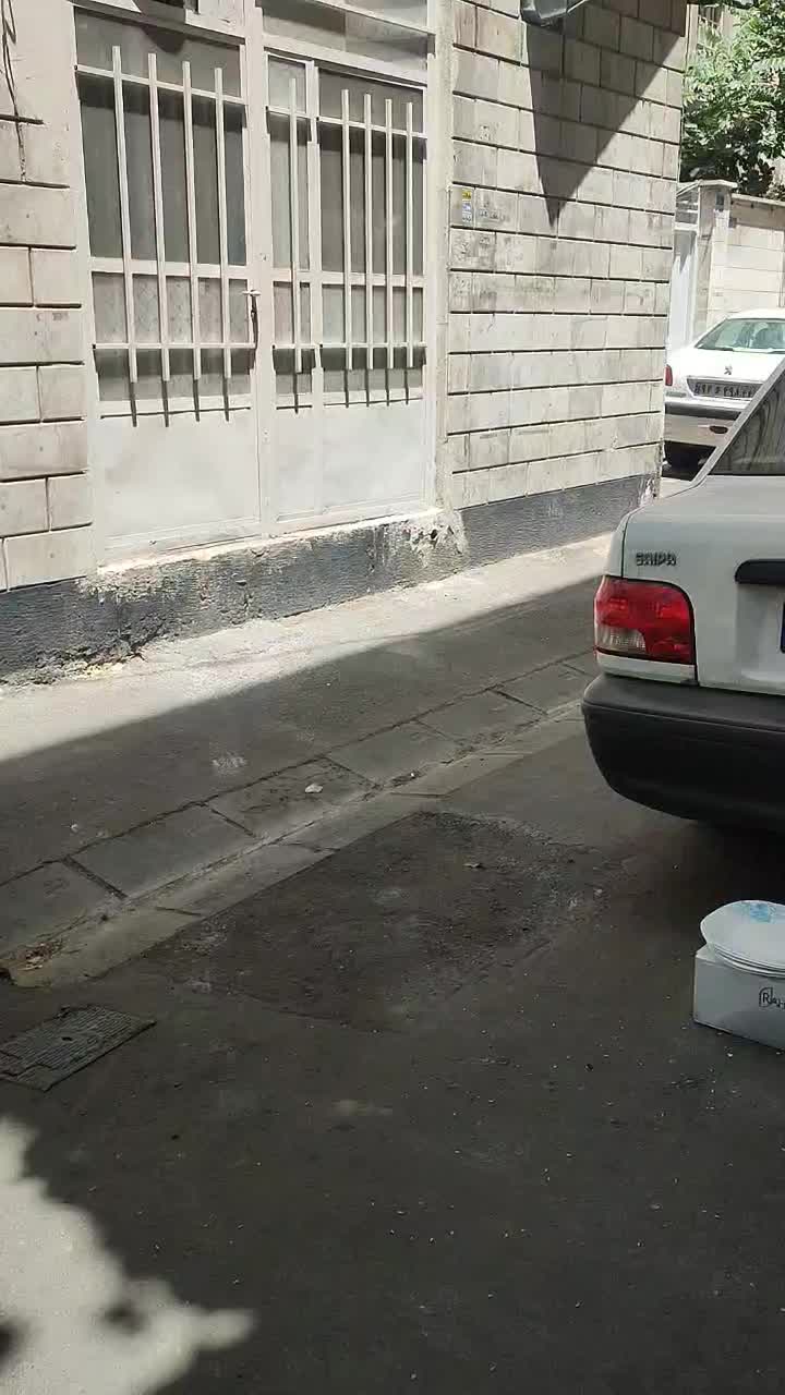 مغازه ۵۳ متر/ اسکندری/ ۱۰۰ متری امام خمینی|فروش مغازه و غرفه|تهران, اسکندری|دیوار