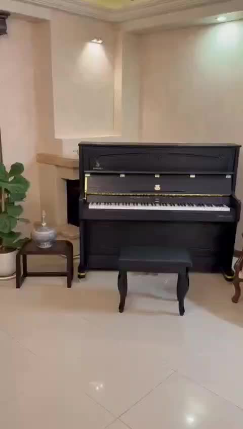 فروش تخصصی انواع پیانو اقساطی|پیانو، کیبورد، آکاردئون|گرگان, |دیوار