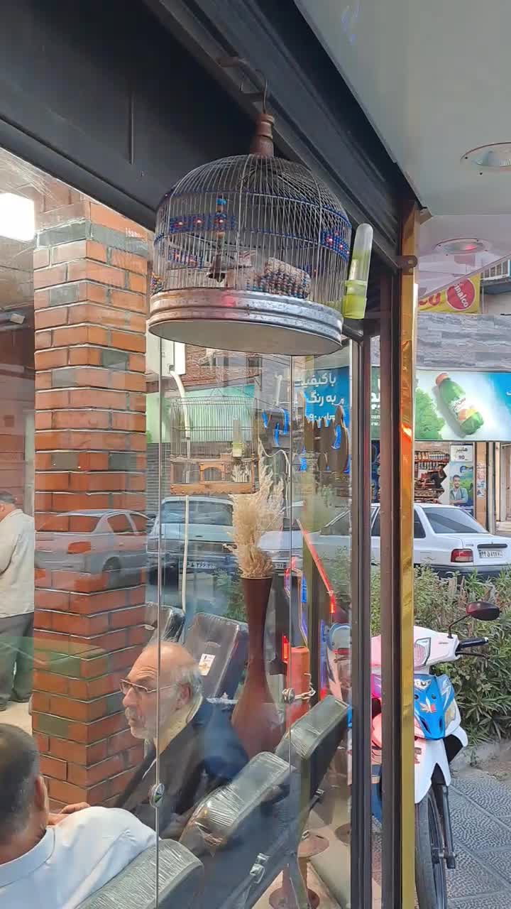 سره خاکی دهن هزار|پرنده|قدس, شهر‌قدس|دیوار