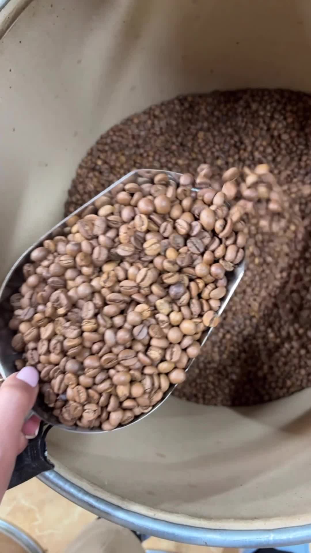 قهوه/فول کافیین/عربیکا/روبستا/ترکیبی|عمده‌فروشی|تهران, دریاچه شهدای خلیج فارس|دیوار