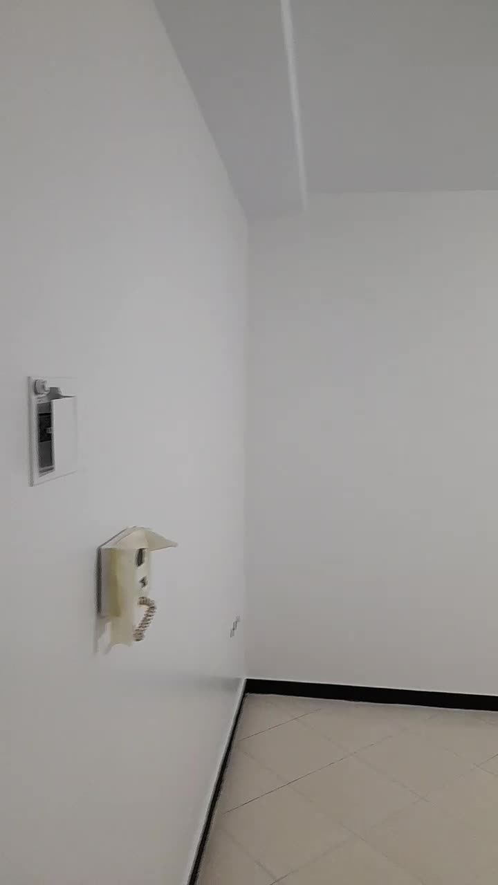 نقاش ساختمان|خدمات پیشه و مهارت|صفادشت, |دیوار