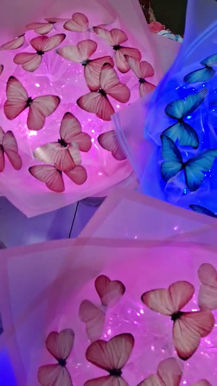 دسته پروانه های زیبا به همراه چراغ ال ای دی|گل مصنوعی|رشت, ساغری سازان|دیوار