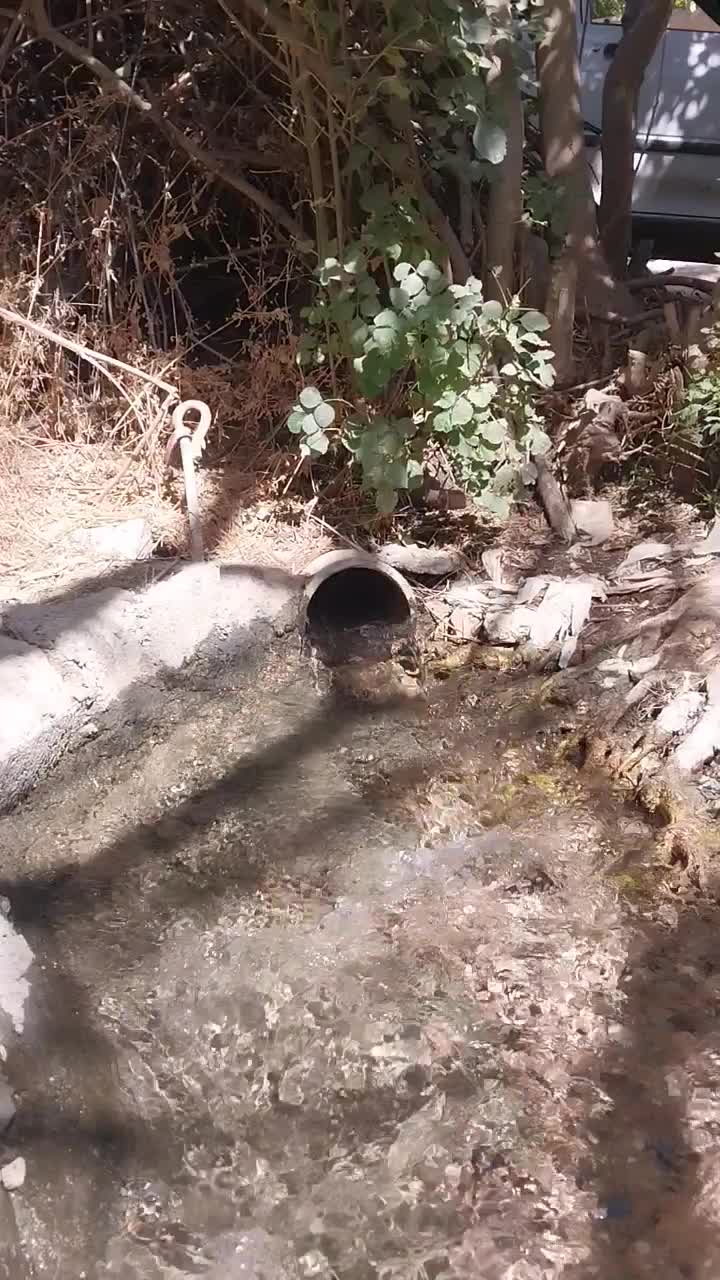 فروش  باغ قدیمی  و ثمری در شهر فاروق|فروش خانه و ویلا|مرودشت, تخت جمشید|دیوار