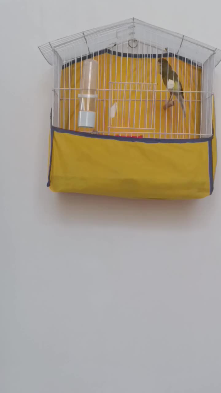 ۲عددقفس سایز کوچک وبزرگ|لوازم جانبی حیوانات|تفت, |دیوار