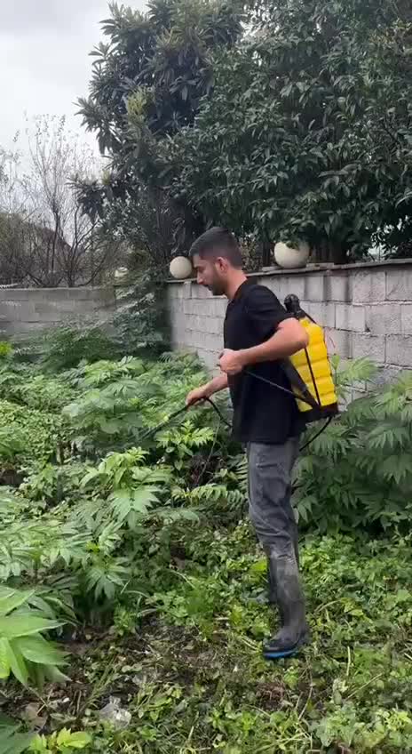 فروش زمین 100 متری داخل بافت شمال محمودآباد|فروش زمین و ملک کلنگی|تهران, بازار|دیوار