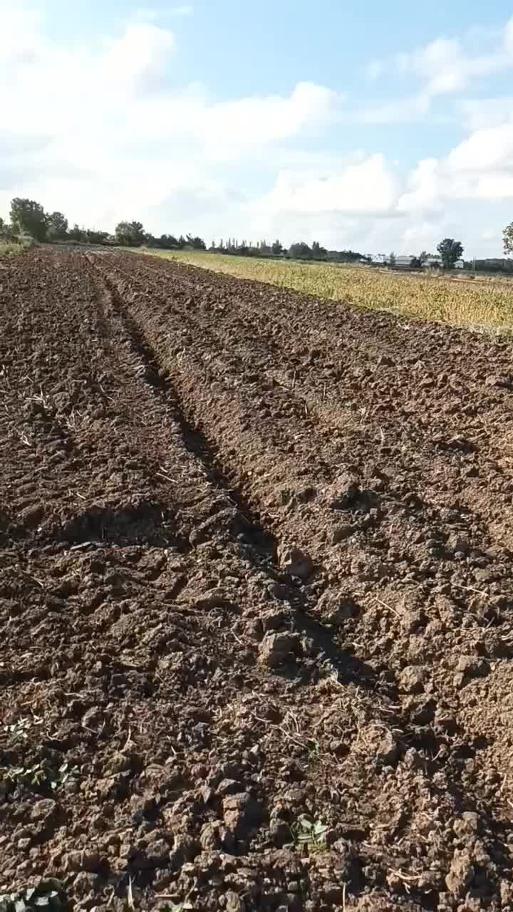 زمین باغی|فروش زمین و ملک کلنگی|گرگان, |دیوار