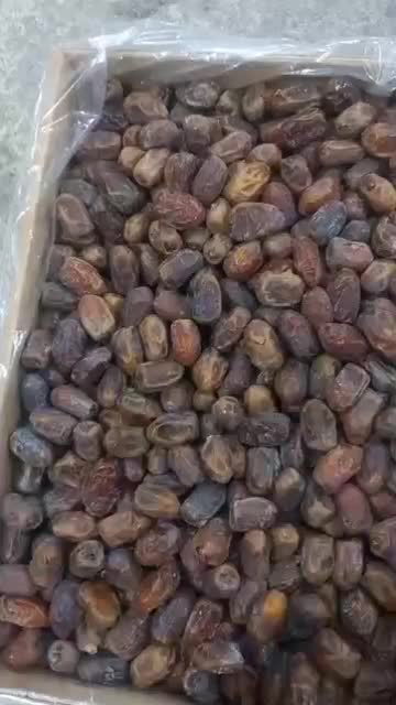 خرماربی وزرداموجود|خوردنی و آشامیدنی|قائم‌شهر, |دیوار