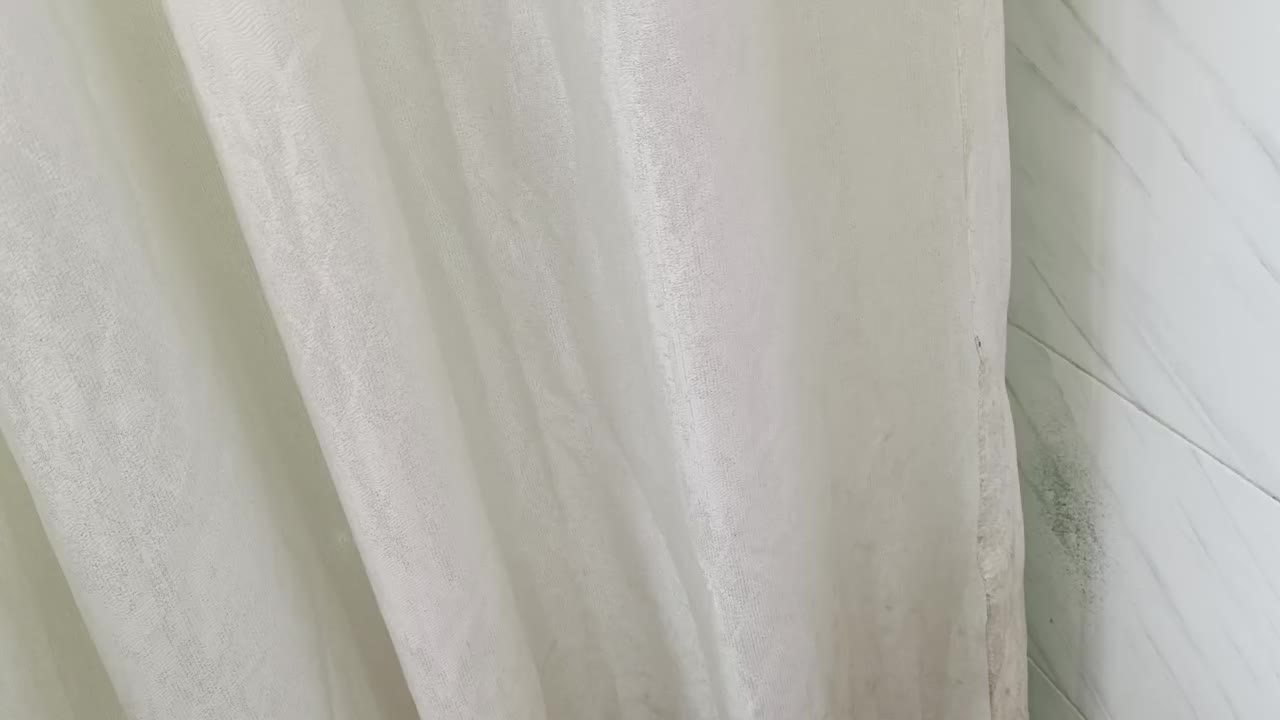 لوازم سالن زیبایی|آرایشگاه و سالنهای زیبایی|رشت, پیرکلاچای|دیوار