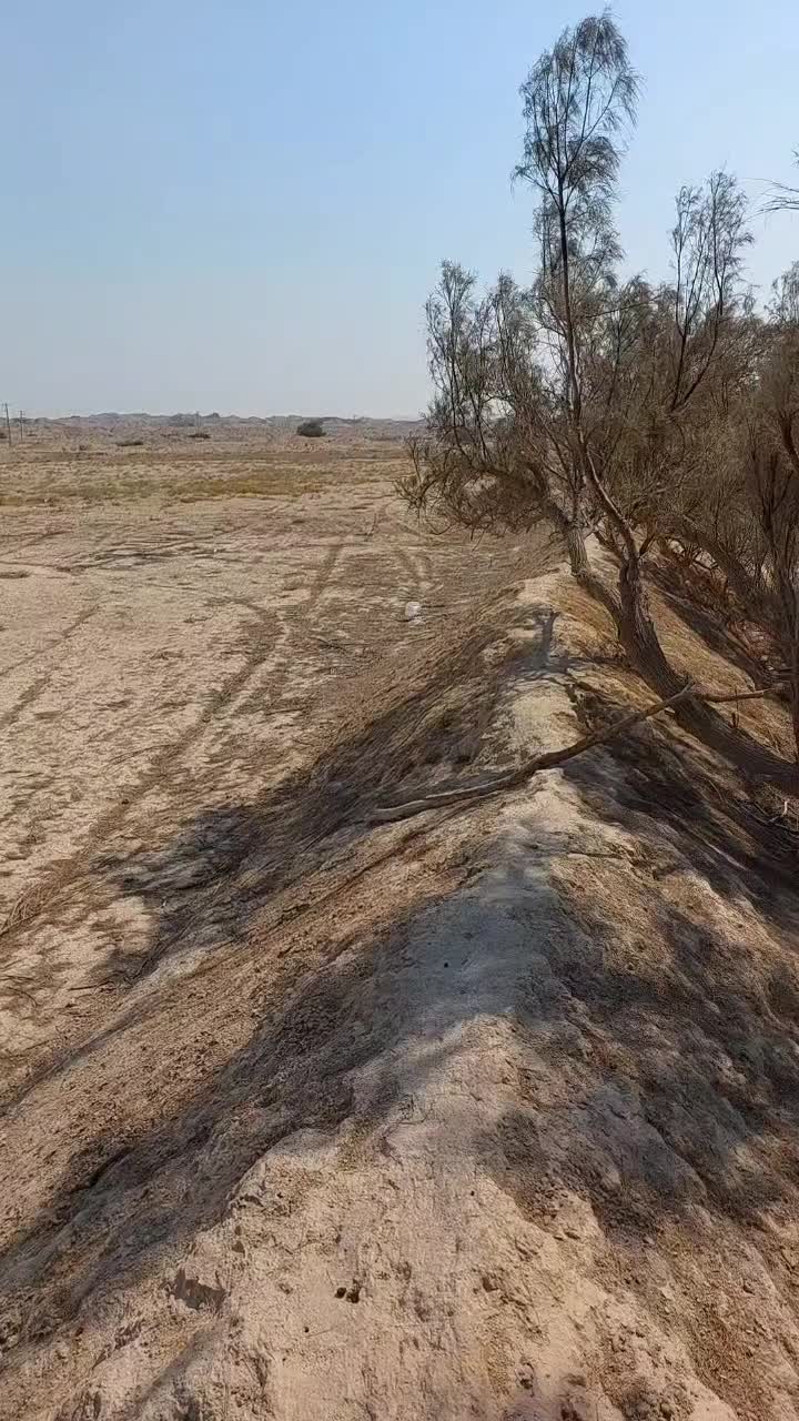 زمین کشاورزی مساحت ۵/۵ هکتار خورموج بحیری نودرار|فروش زمین و ملک کلنگی|خورموج, |دیوار