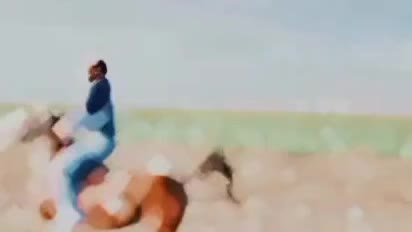 اسب کوهستان جعفری|اسب و تجهیزات اسب‌سواری|ساوه, |دیوار