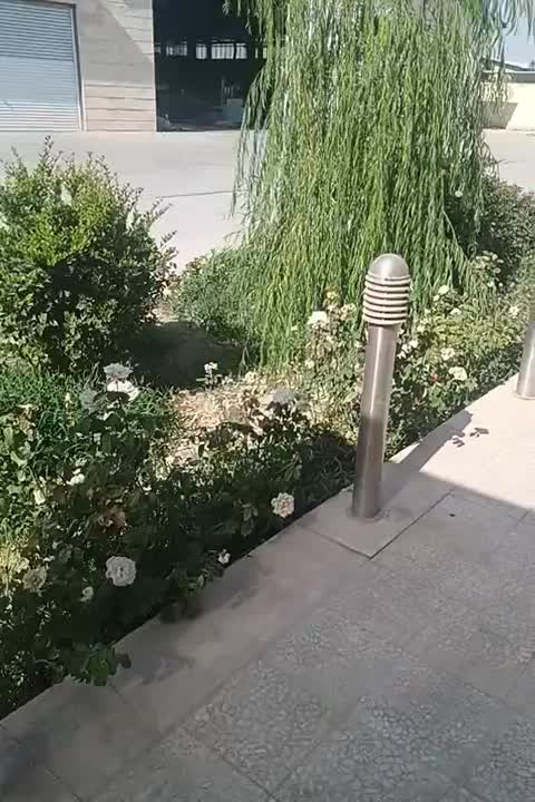 استخدام کارگر ساده تولید پارکت|استخدام صنعتی، فنی، مهندسی|رباط‌کریم, رباط‌کریم|دیوار