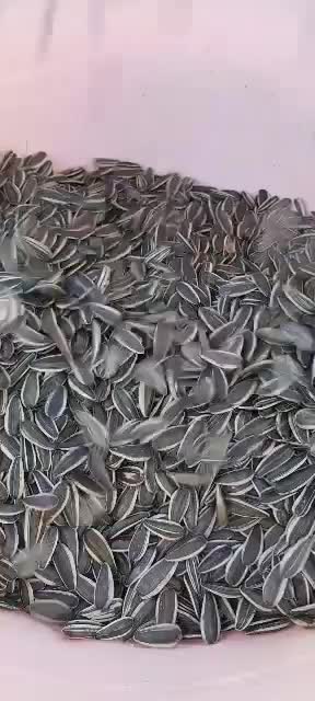 فروش تخمه آفتابگردان|عمدهفروشی|دینور, |دیوار