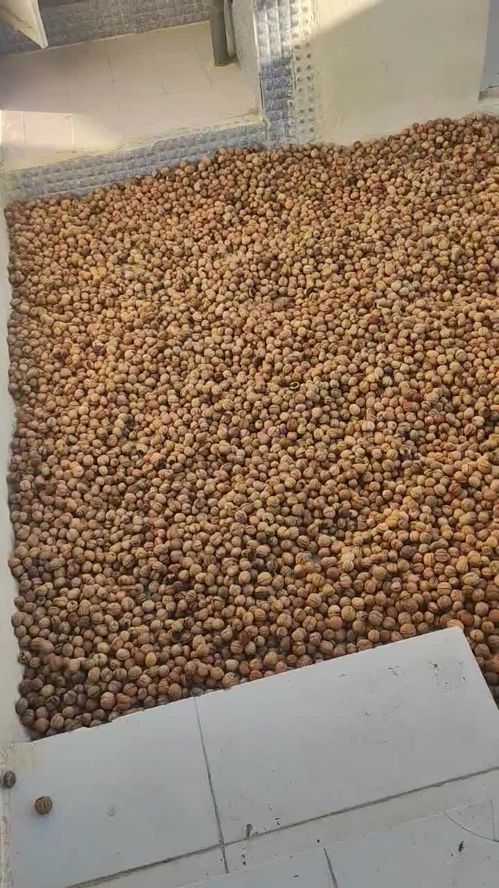 گردو همدان|عمده‌فروشی|فسا, |دیوار