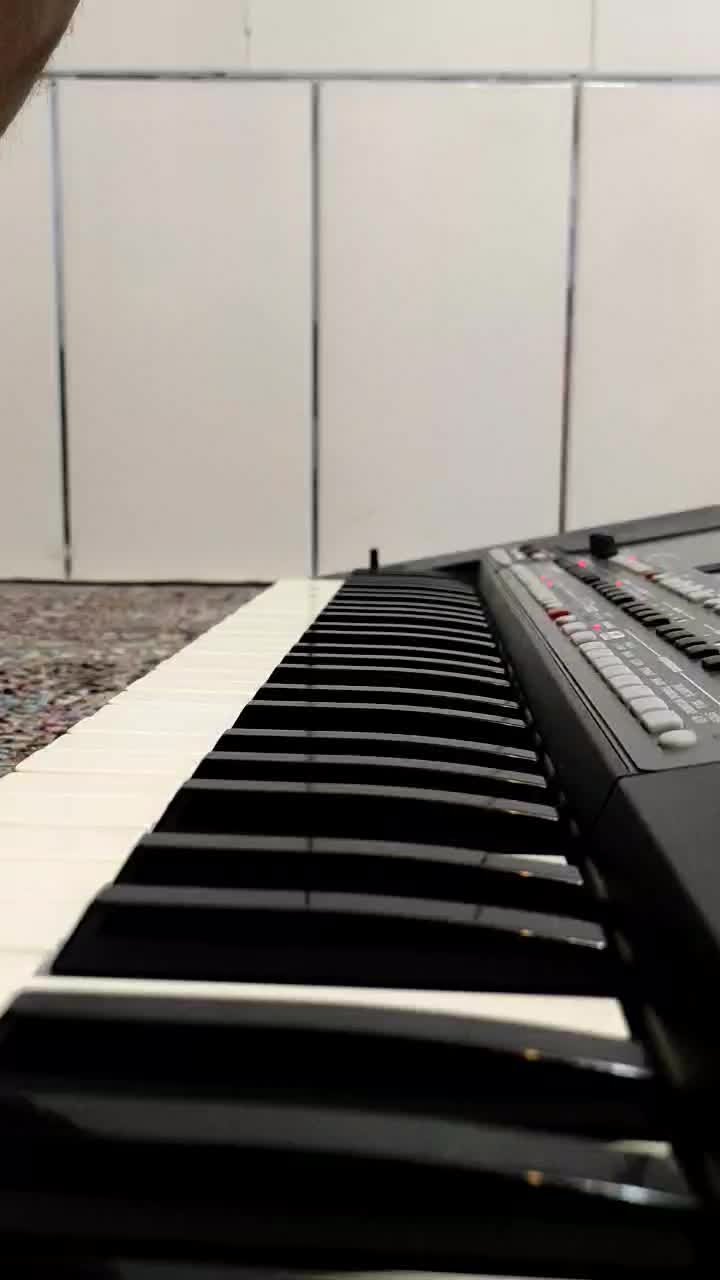 ارگ qa600|پیانو، کیبورد، آکاردئون|سیرجان, |دیوار