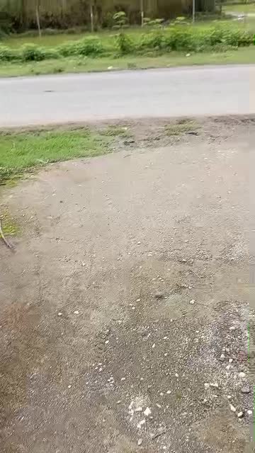 ویلا،آستارا،قنبرمحله|فروش خانه و ویلا|لوندویل, |دیوار