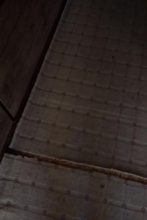 موکت سالن|موکت|اصفهان, برازنده|دیوار