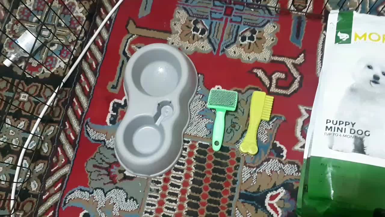 وسایل سگ|لوازم جانبی حیوانات|شیراز, لب آب|دیوار