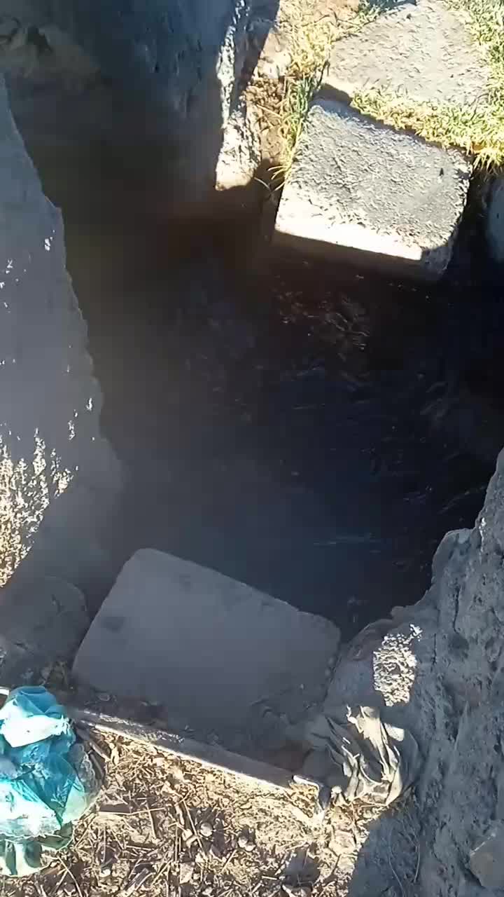 زمین برای باغ طلا|فروش زمین و ملک کلنگی|گناباد, |دیوار