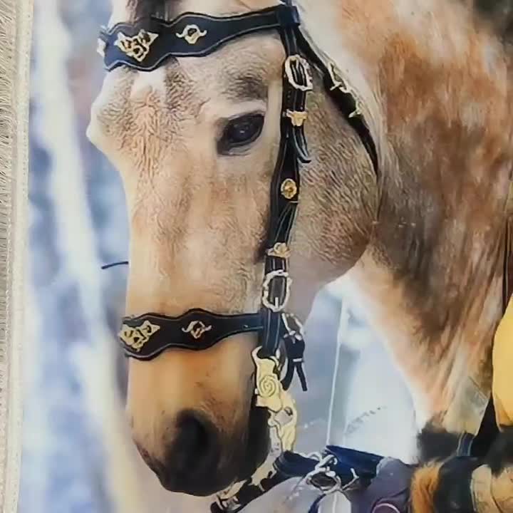 تابلو فرش شــهرآرا بدون پیش پرداخت|تابلو فرش|دورود, |دیوار