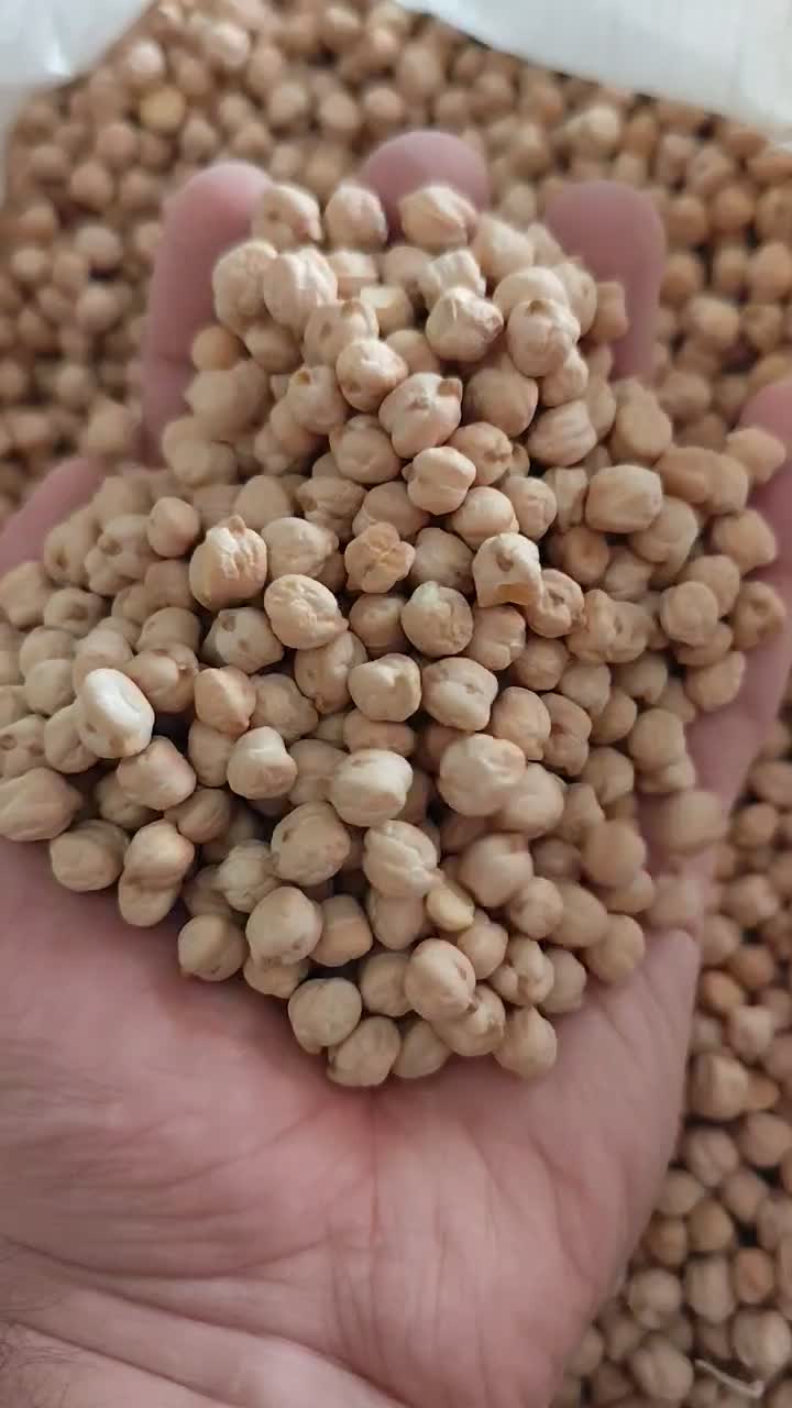 نخود|خوردنی و آشامیدنی|یزد, |دیوار
